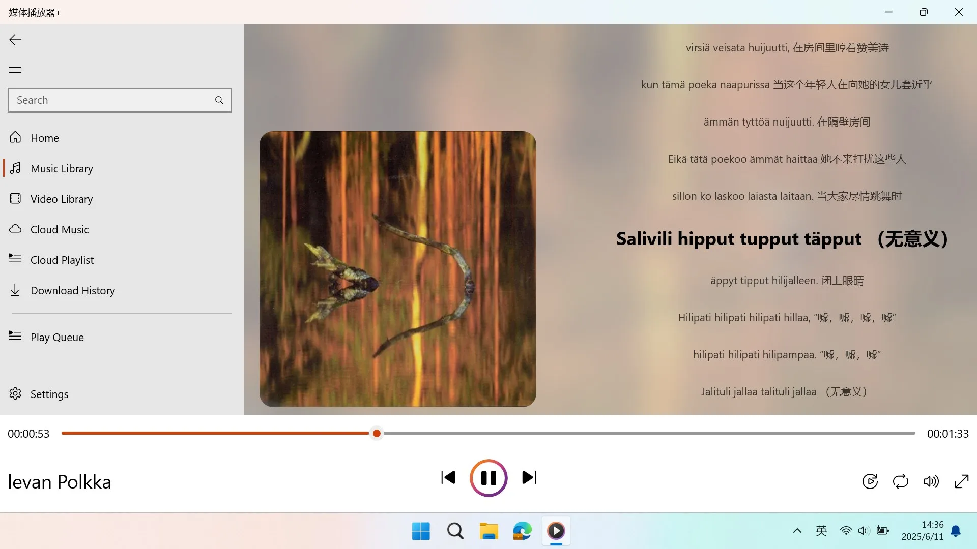 Media Stream Player+ screenshot 2
