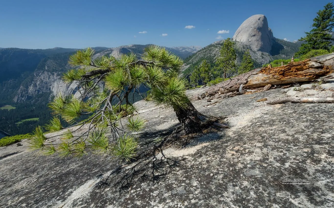 Scenes from Yosemite by Ingo Scholtes screenshot 2