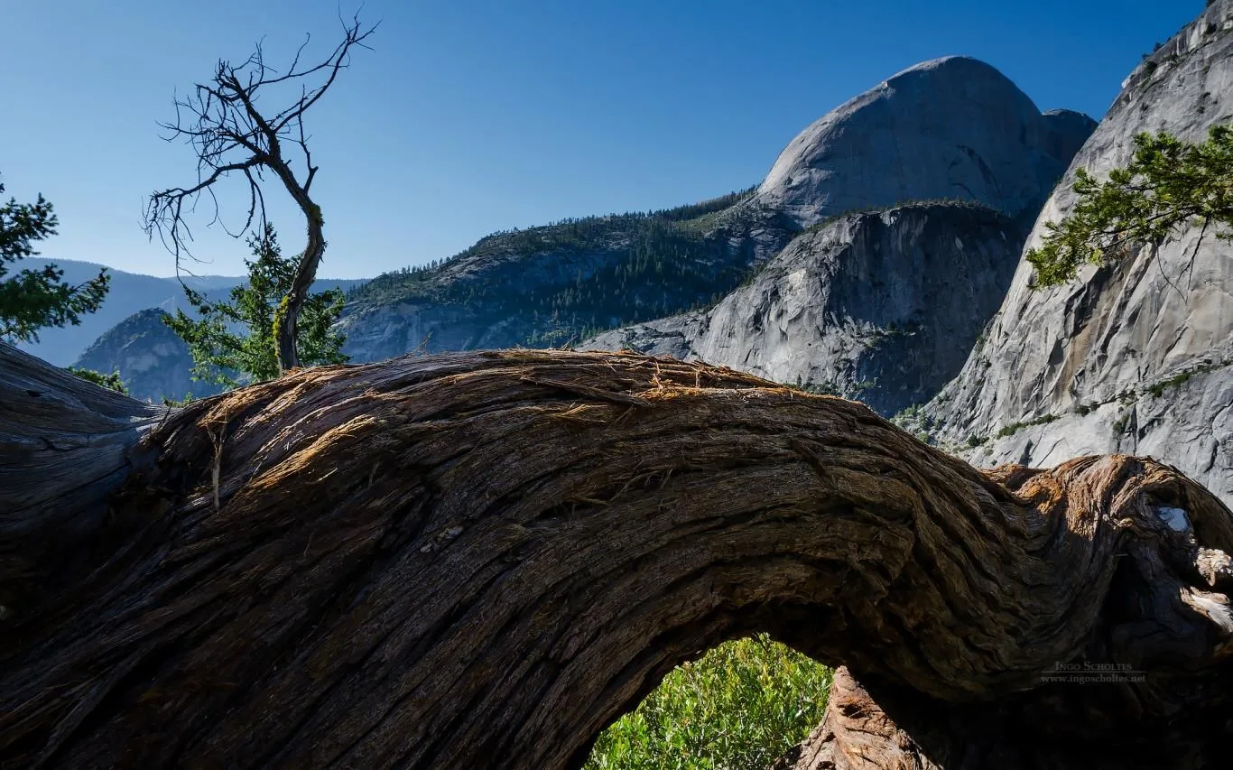 Scenes from Yosemite by Ingo Scholtes screenshot 4