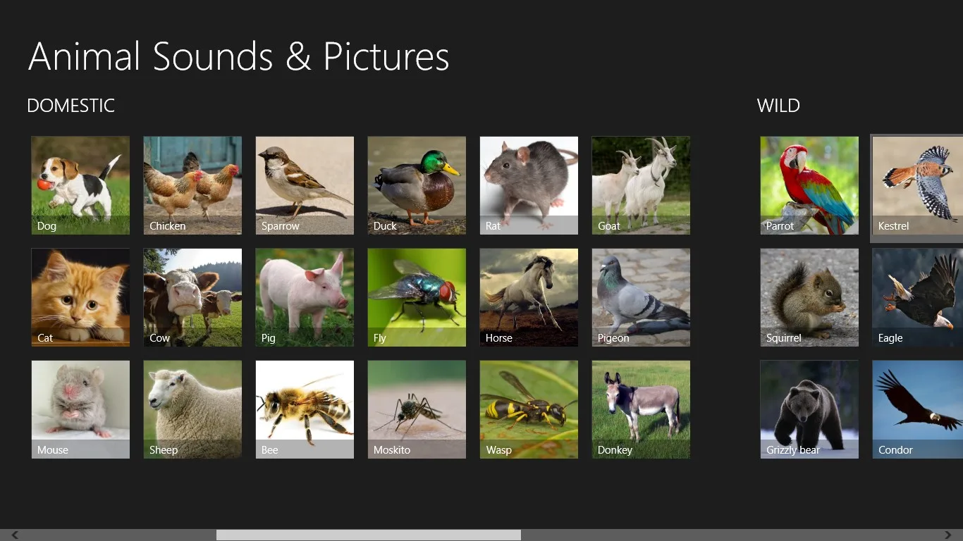 Animal Sounds & Pictures screenshot 2