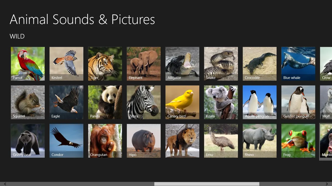 Animal Sounds & Pictures screenshot 3