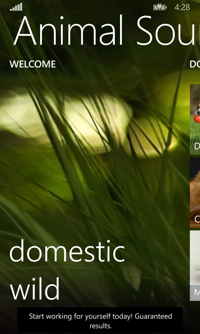 Animal Sounds & Pictures screenshot 5