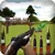 Army Shooter Training