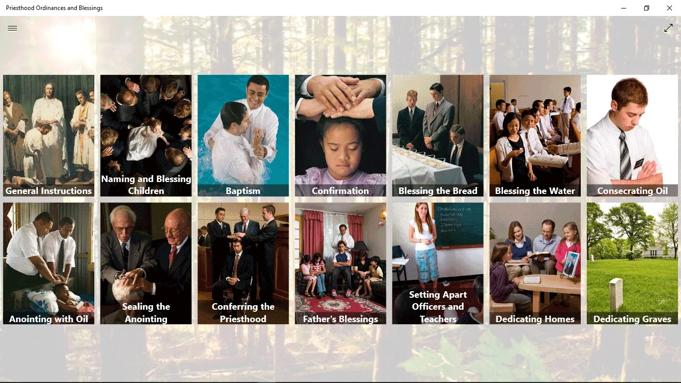 Priesthood Ordinances and Blessings screenshot 3