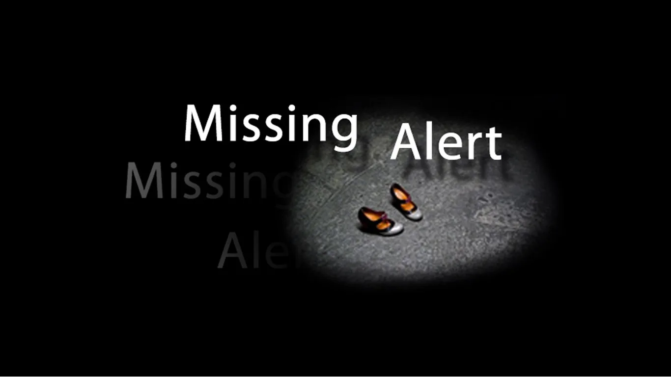 Missing Alert screenshot 1