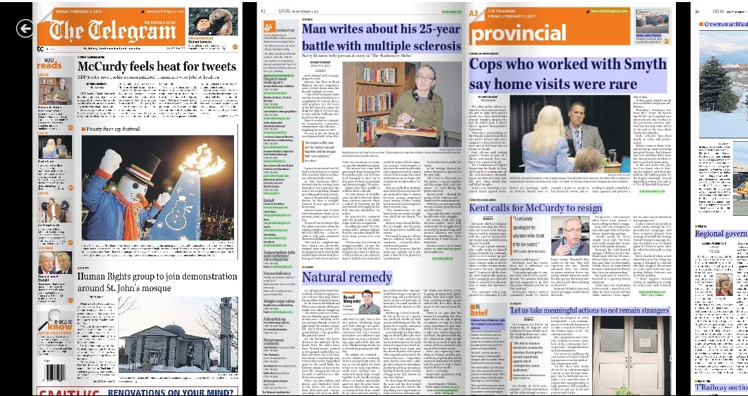 NL News screenshot 2