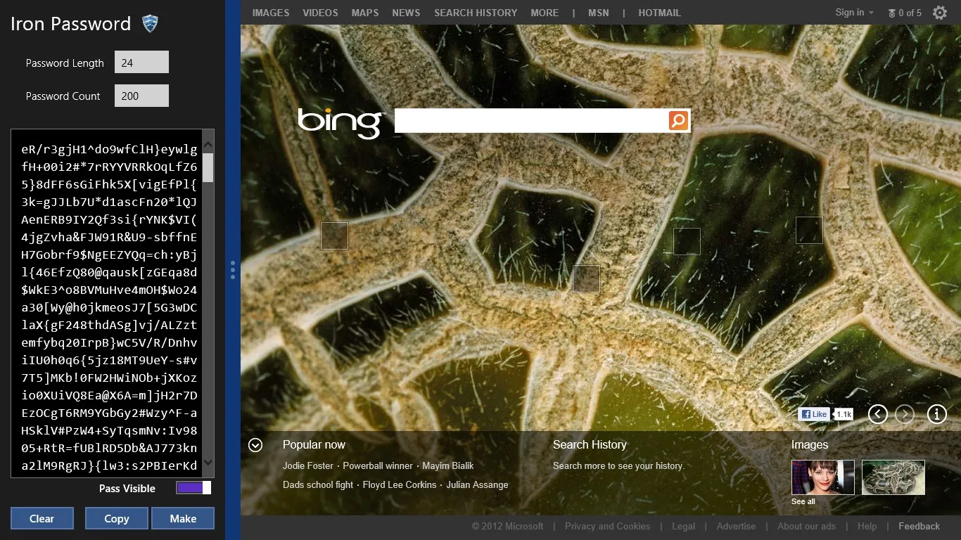 Iron Password screenshot 1