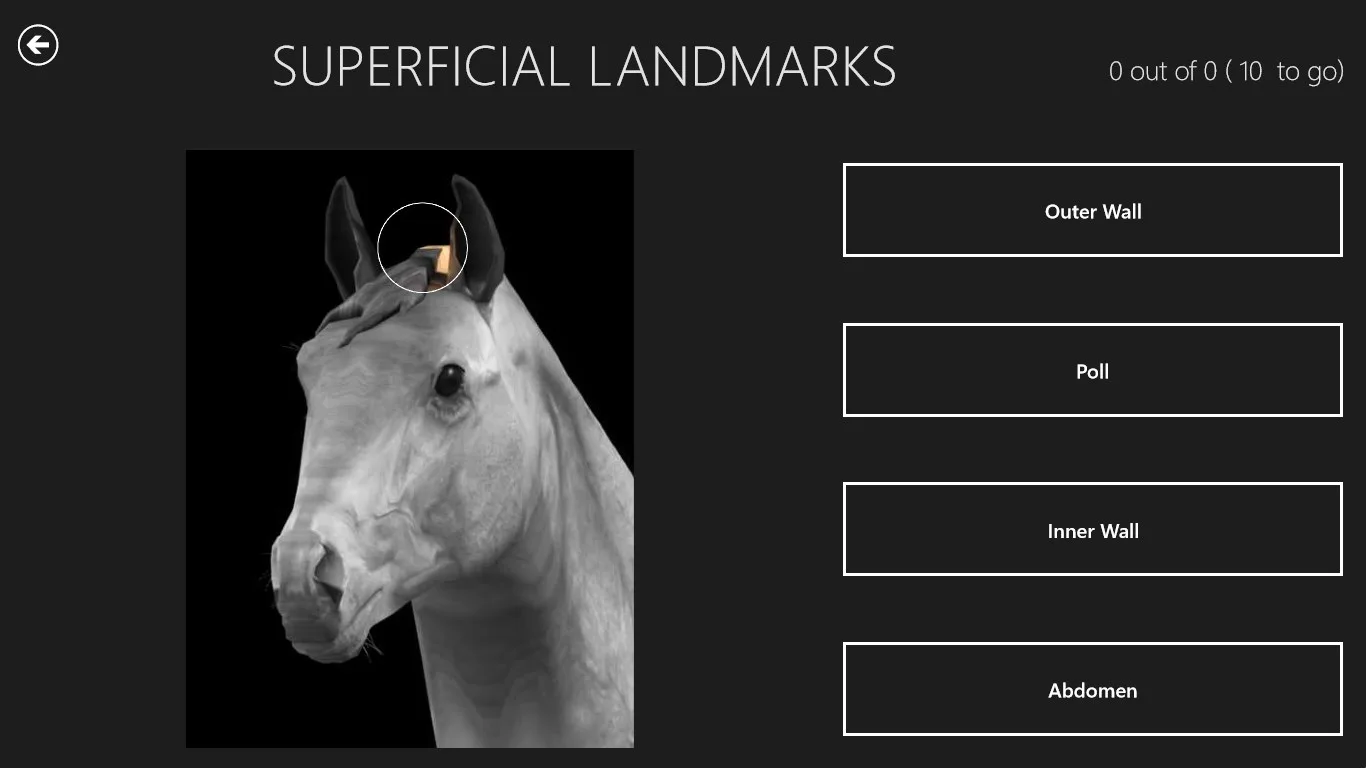 Horse Anatomy: Equine 3D screenshot 5