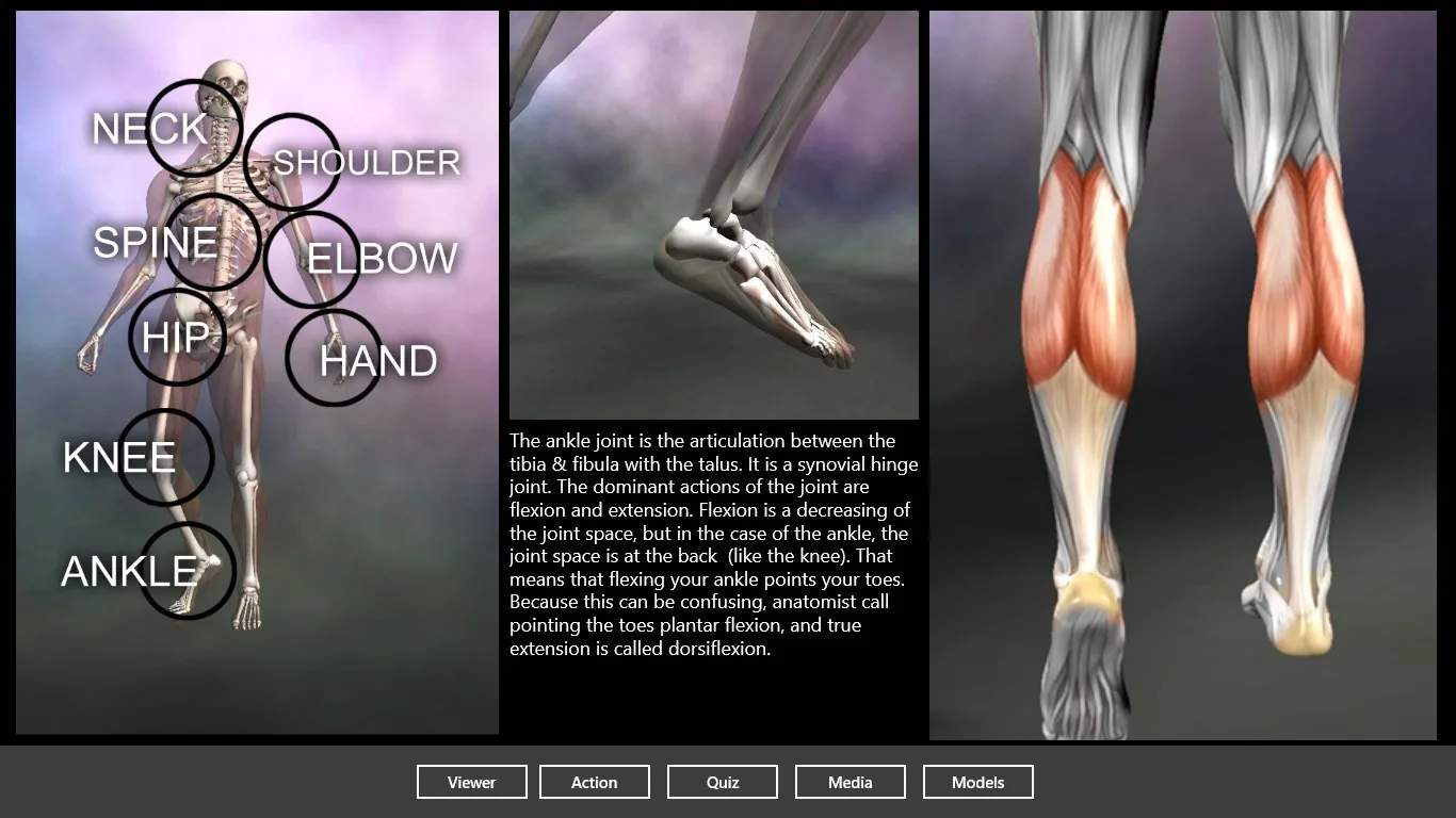 Muscle and Bone Anatomy 3D screenshot 1
