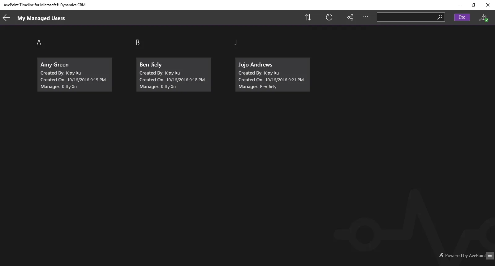 AvePoint Timeline for Microsoft® Dynamics CRM screenshot 2
