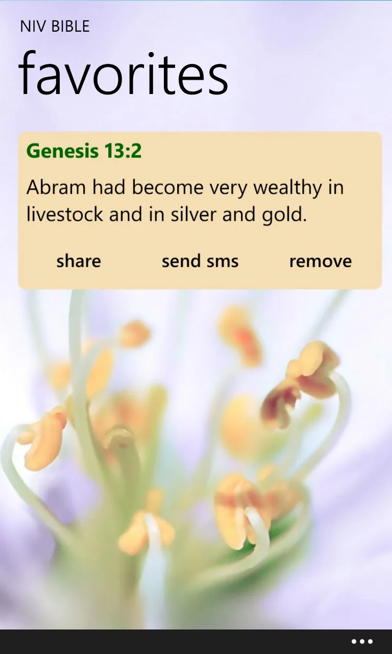 NIV Bible screenshot 4
