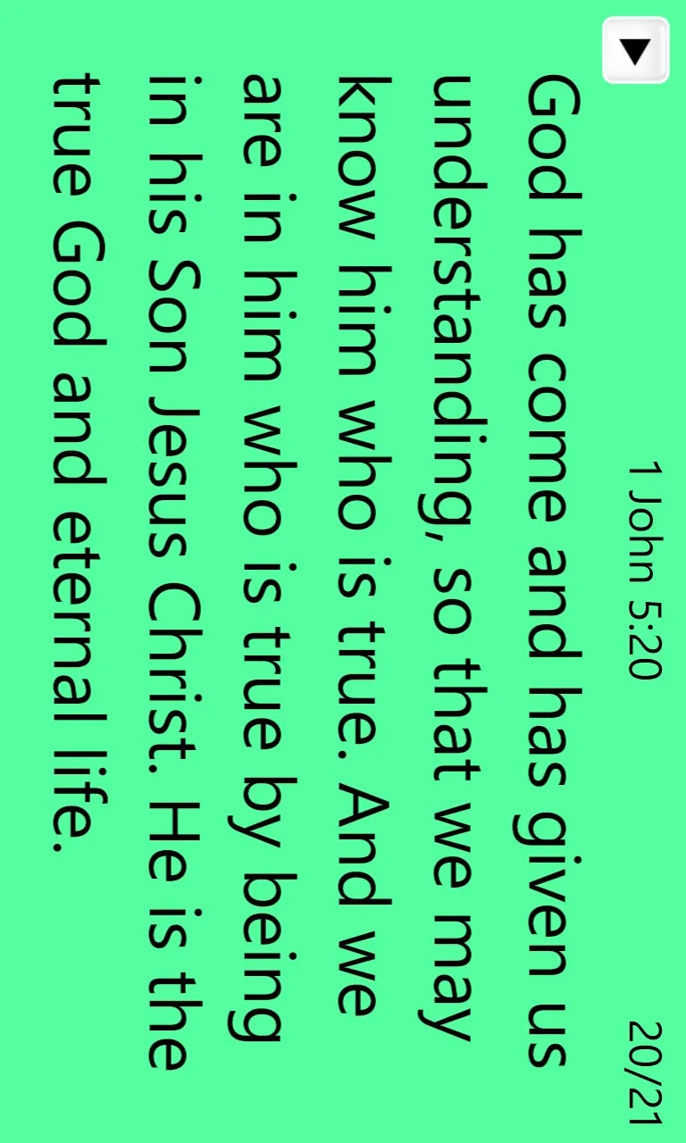 NIV Bible screenshot 5