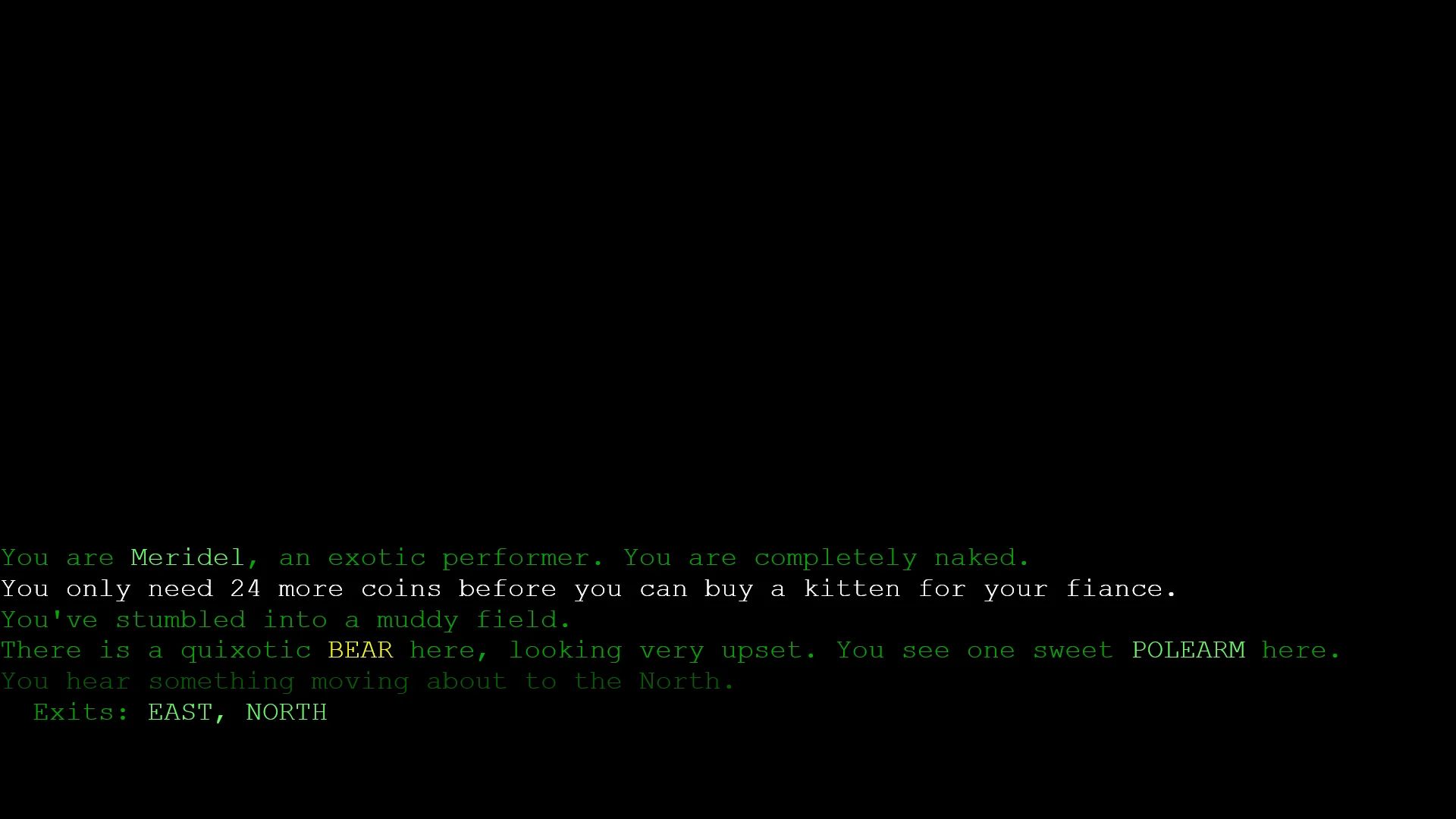 Random Text Adventure screenshot 1