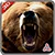 Bear Jungle Attack