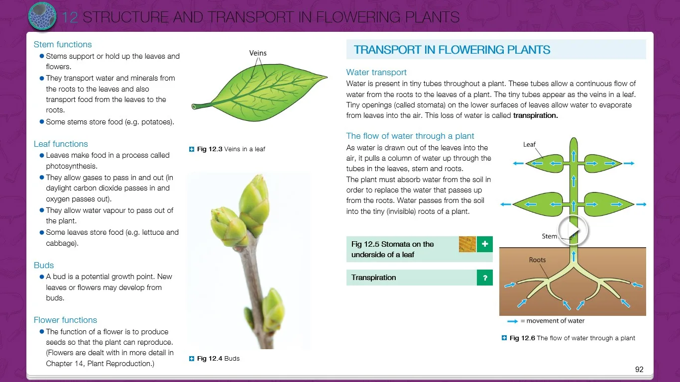 Edco Learning screenshot 5