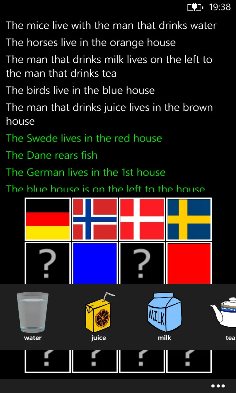 Einstein's Riddle screenshot 3