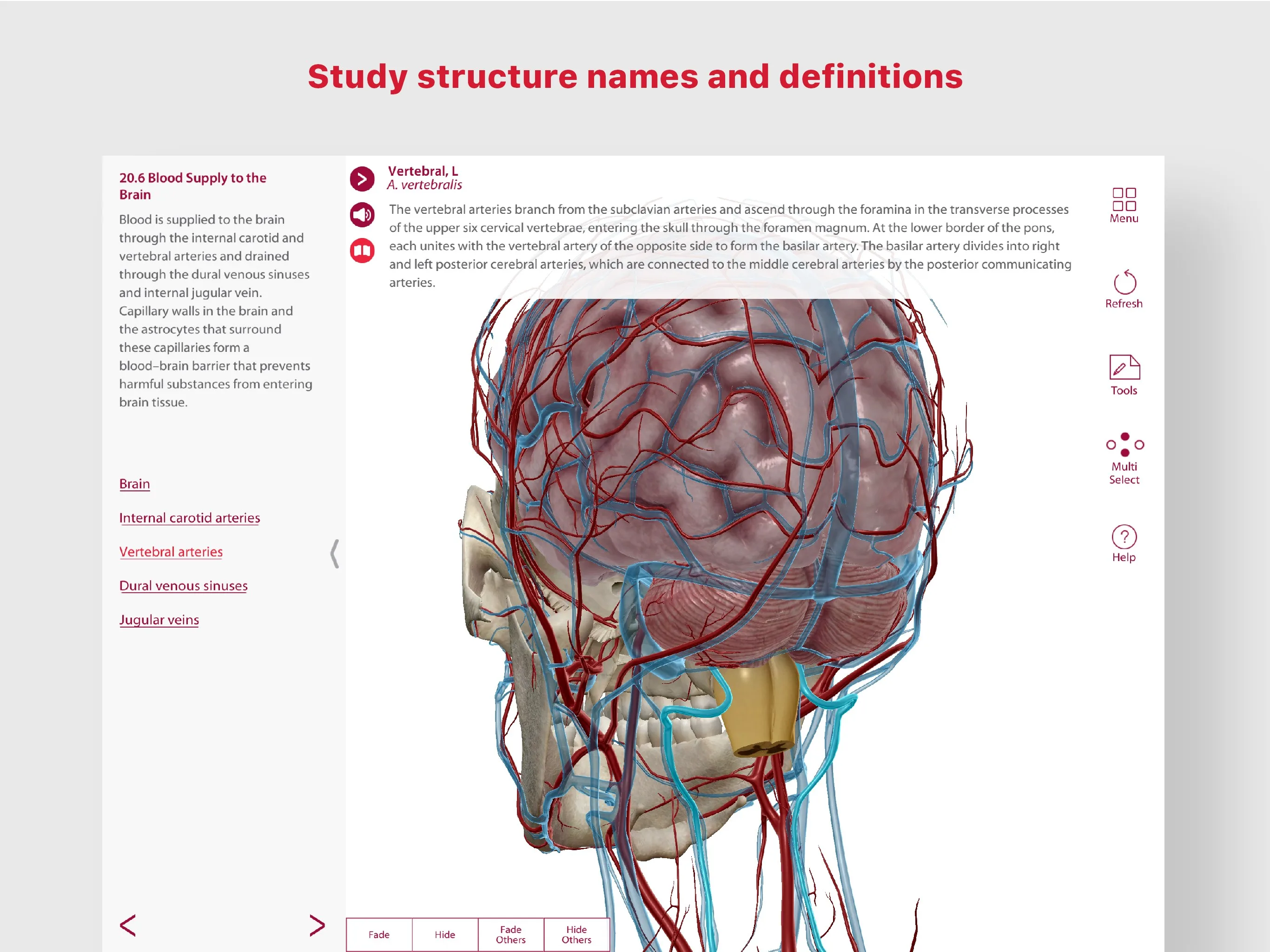 A&P: Anatomy and Physiology screenshot 1