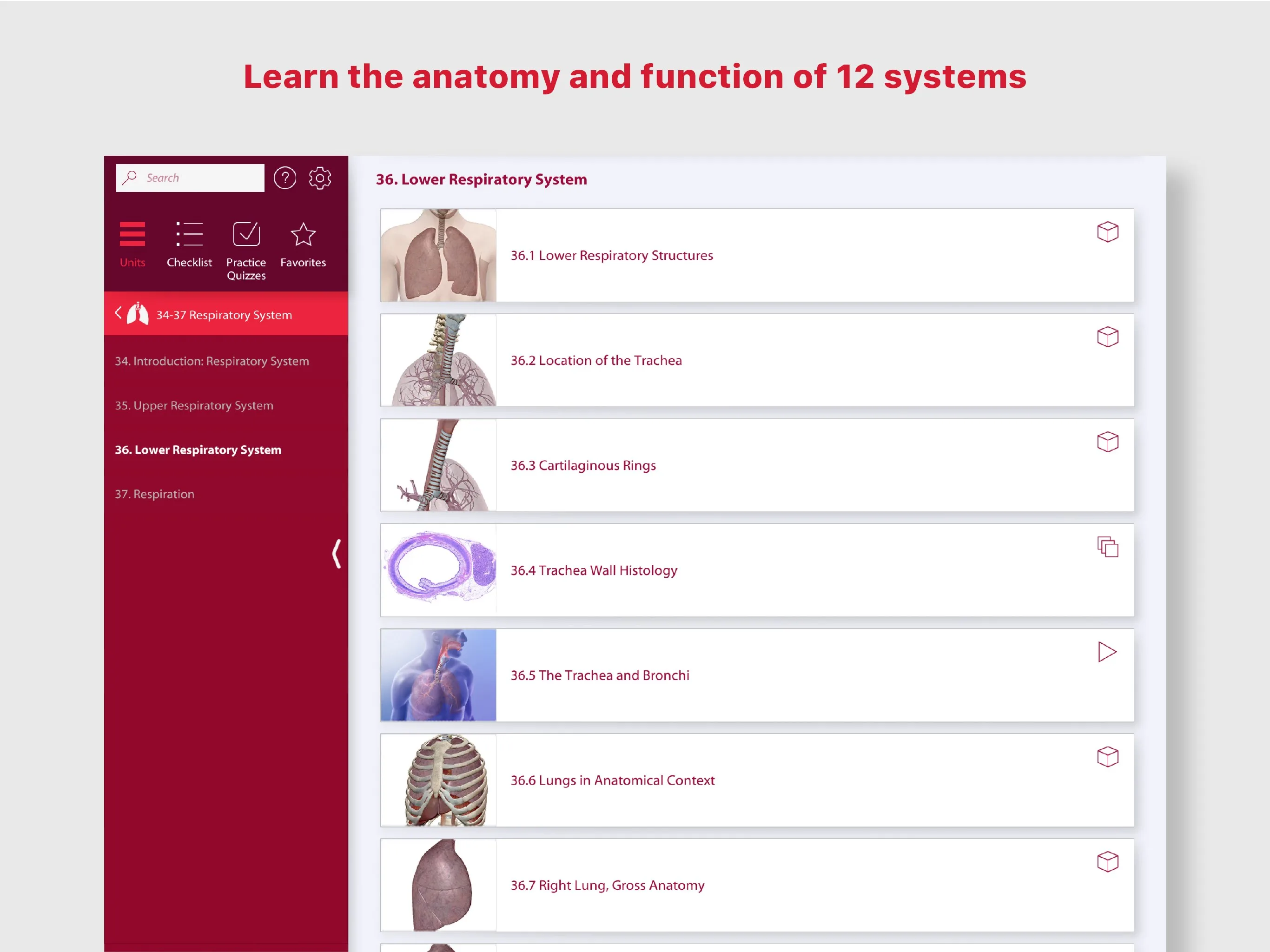 A&P: Anatomy and Physiology screenshot 3