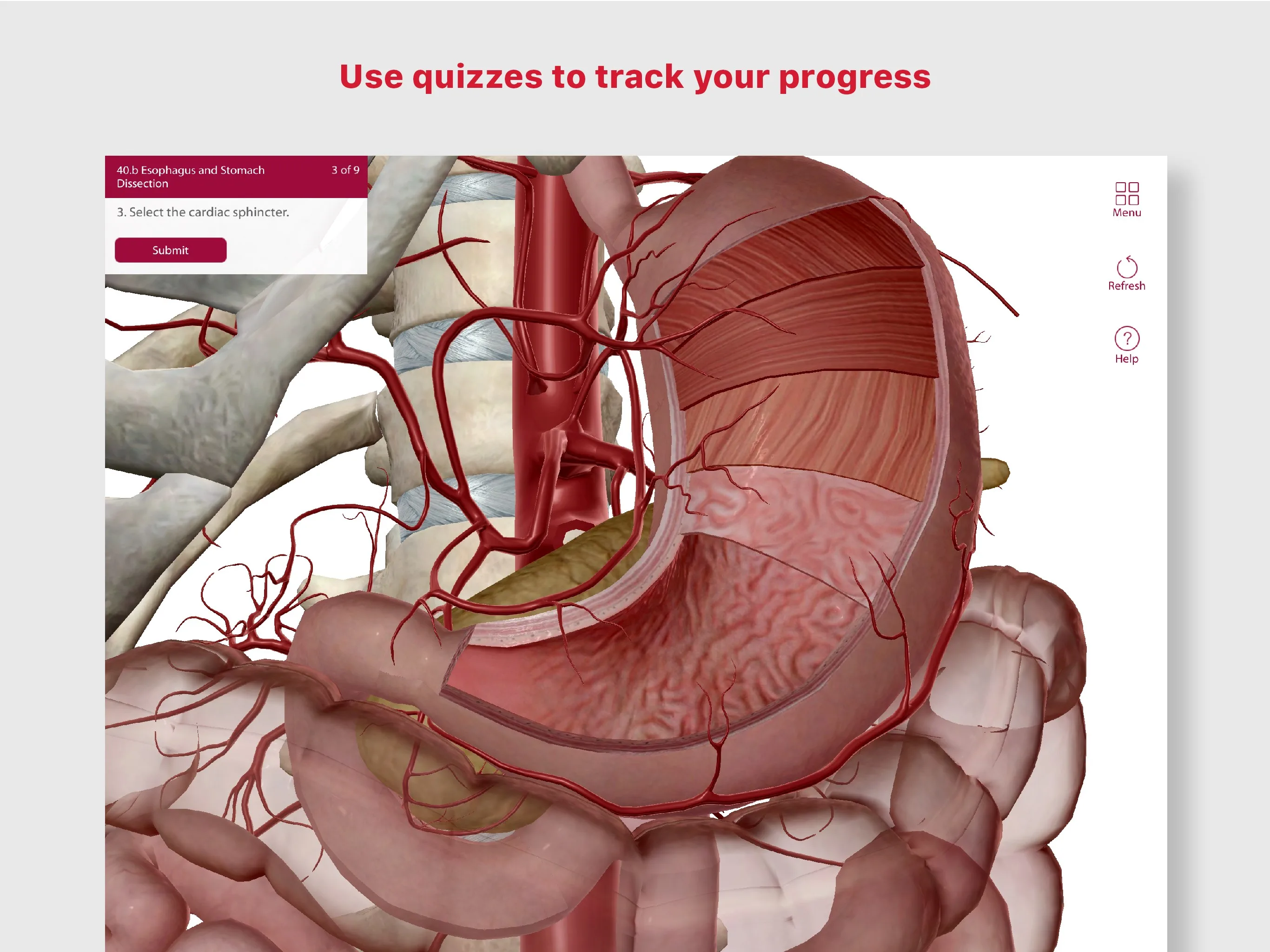A&P: Anatomy and Physiology screenshot 5