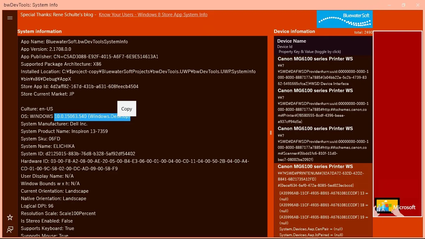 bwDevTools: System Info screenshot 5