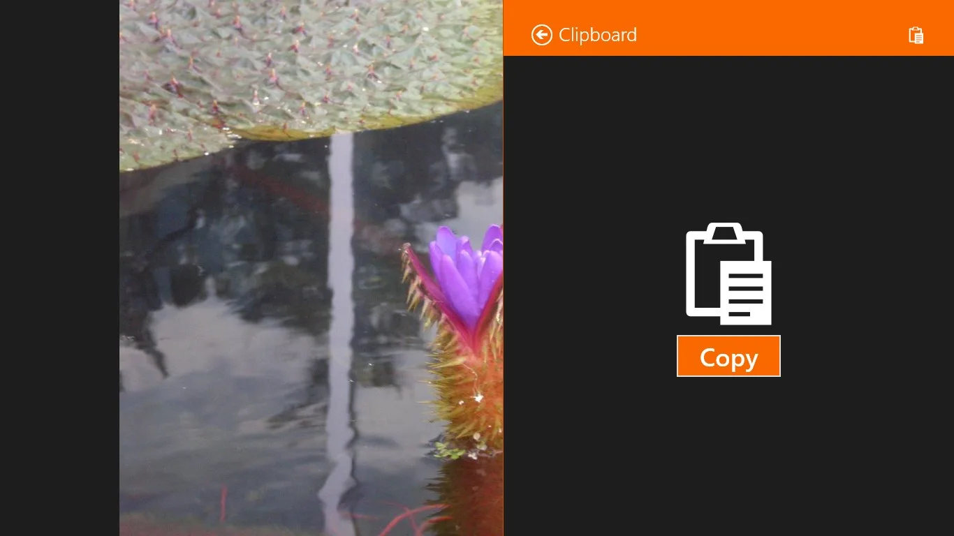Clipboard screenshot 5