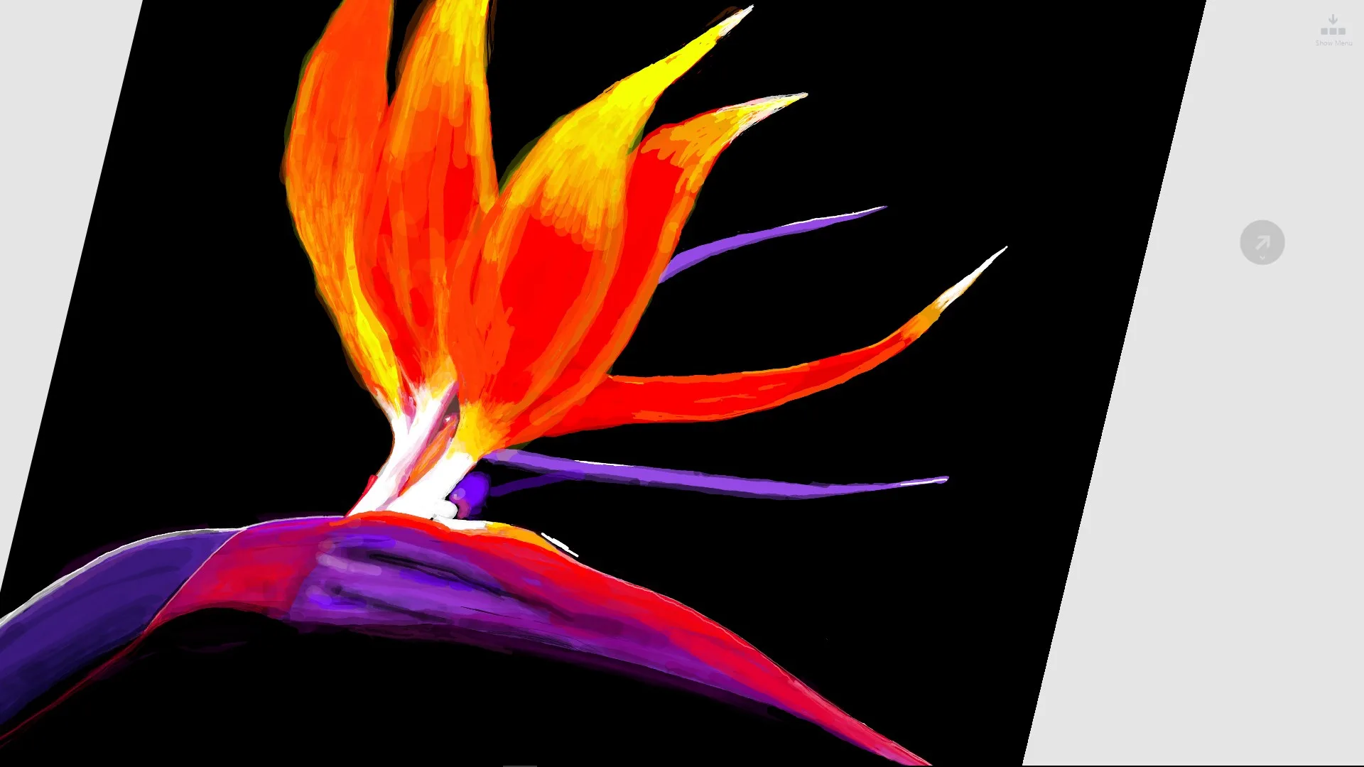 Notebook Pro screenshot 3