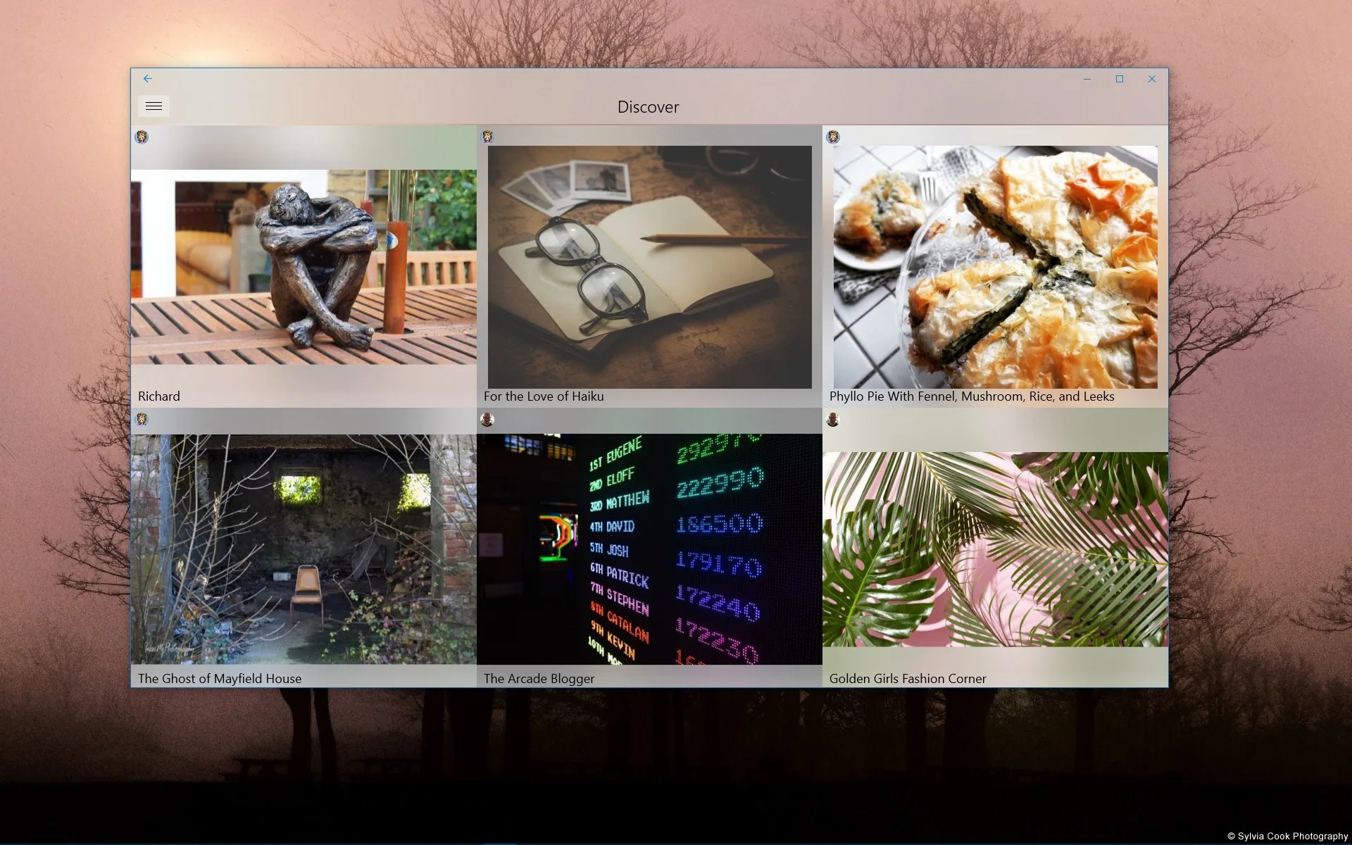 Studio for WP screenshot 2