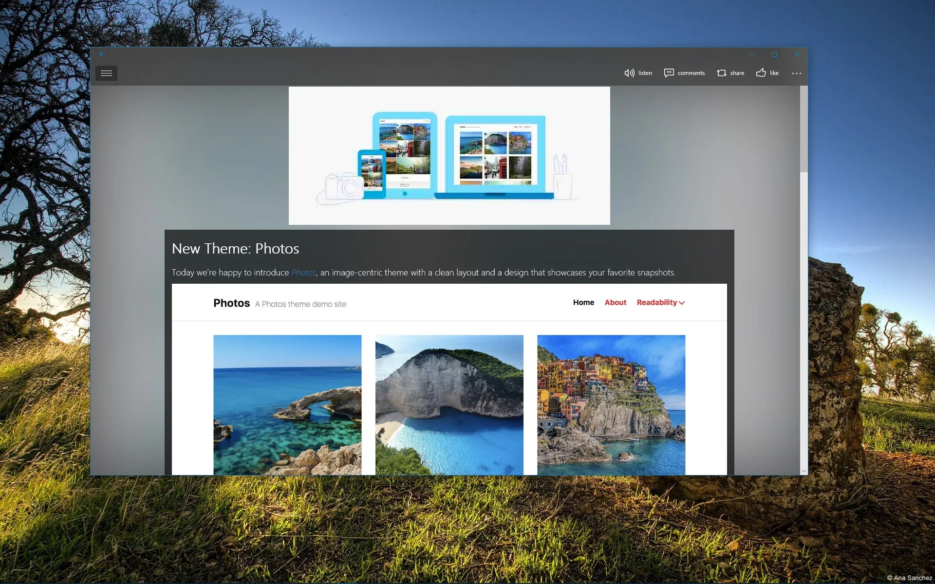 Studio for WP screenshot 3