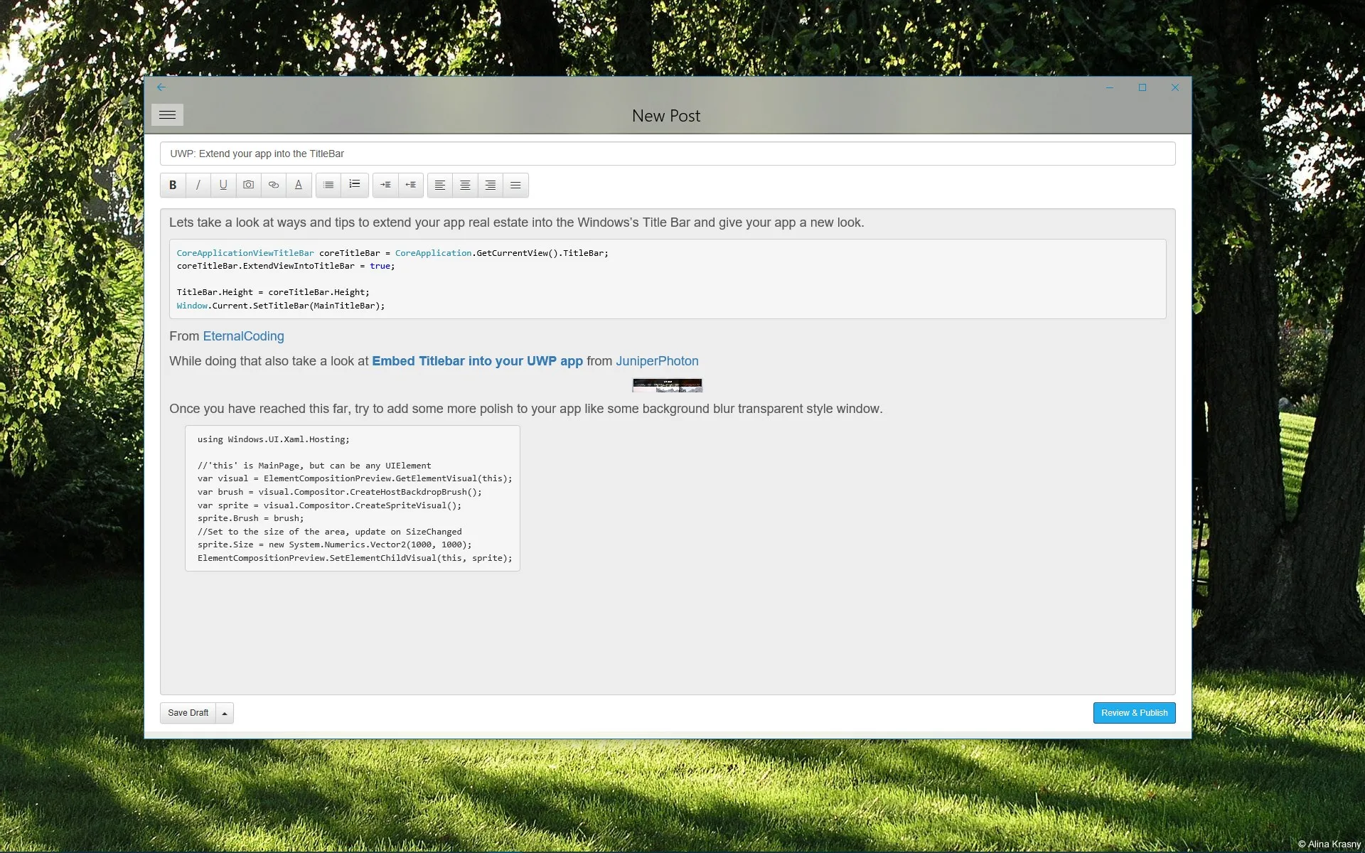 Studio for WP screenshot 5
