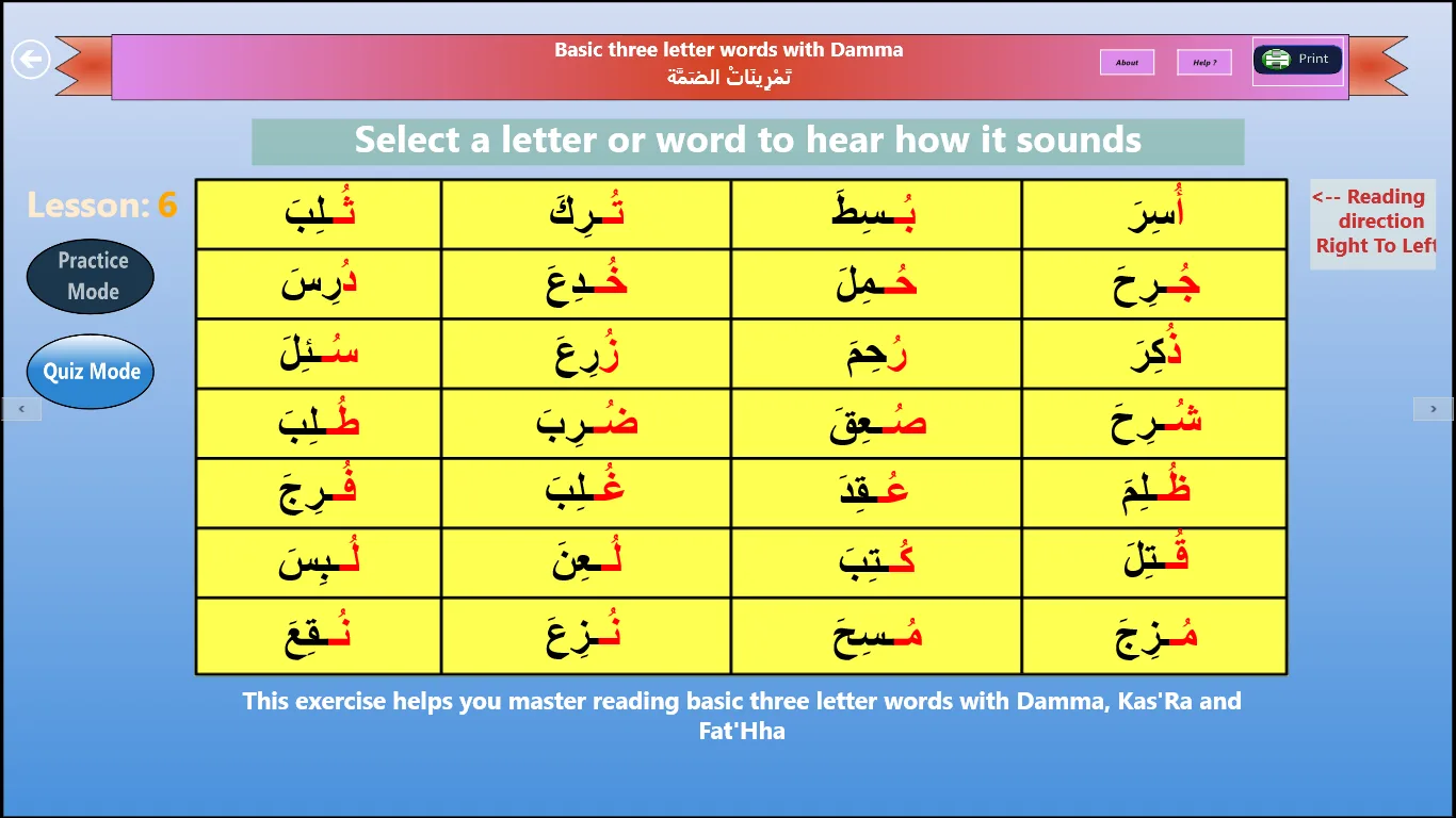 Learn Arabic With Kareem screenshot 5