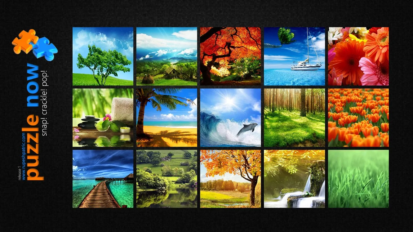 Puzzle Now! screenshot 1