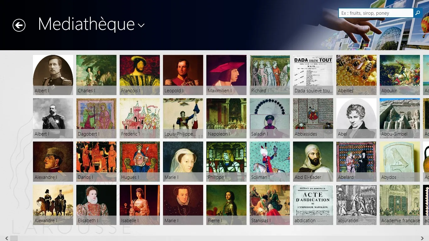 Larousse illustré screenshot 2