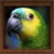 Bird Calls - Bird Sounds & Bird Songs