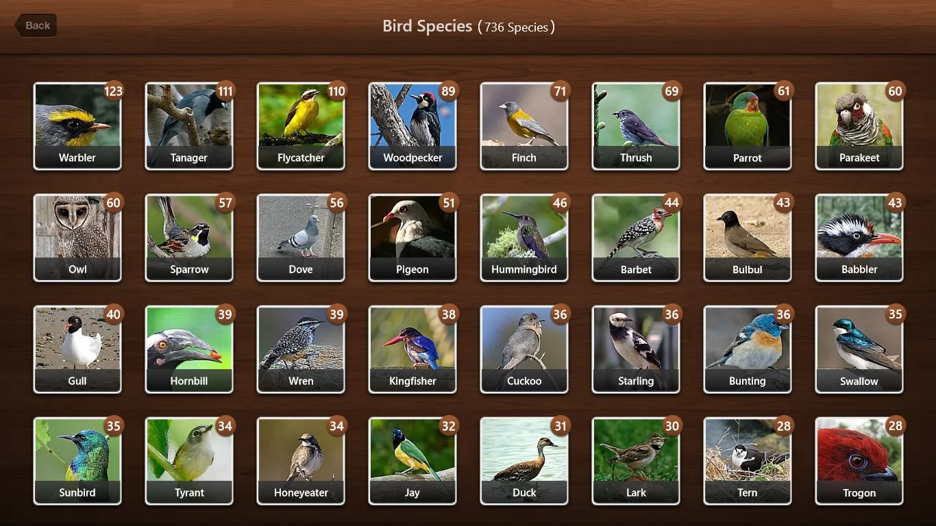 Bird Calls - Bird Sounds & Bird Songs screenshot 2