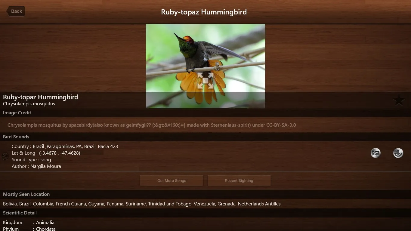 Bird Calls - Bird Sounds & Bird Songs screenshot 4