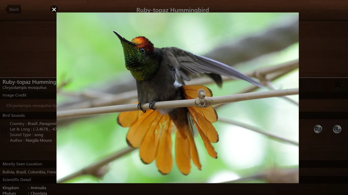 Bird Calls - Bird Sounds & Bird Songs screenshot 5
