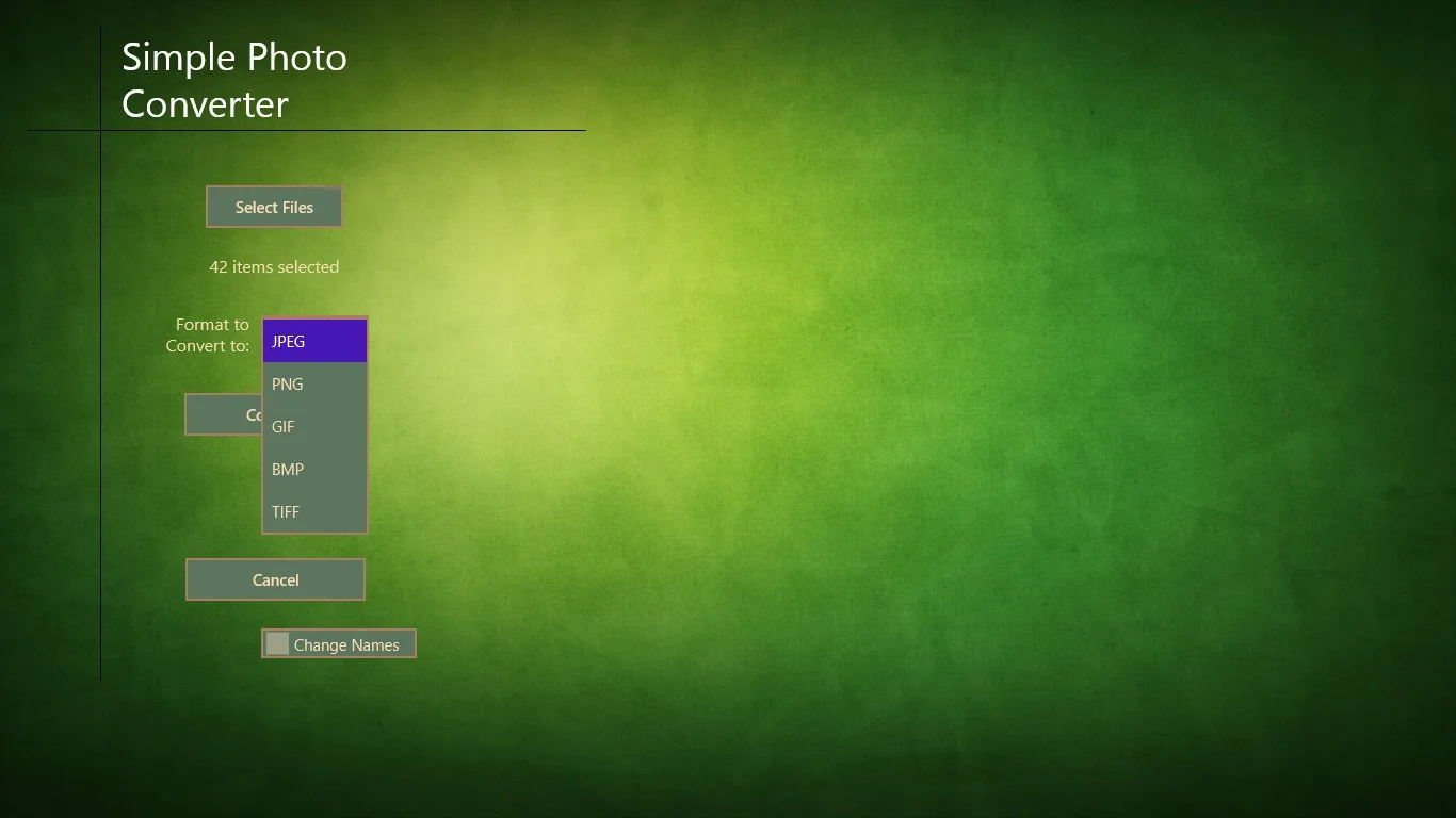 Simple Photo Converter screenshot 2