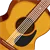 Guitarist's Reference