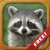 Animals for Toddlers