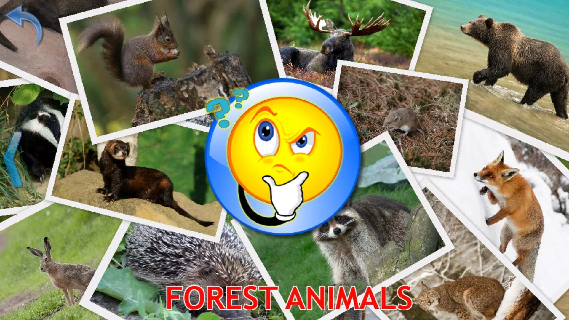 Animals for Toddlers screenshot 3