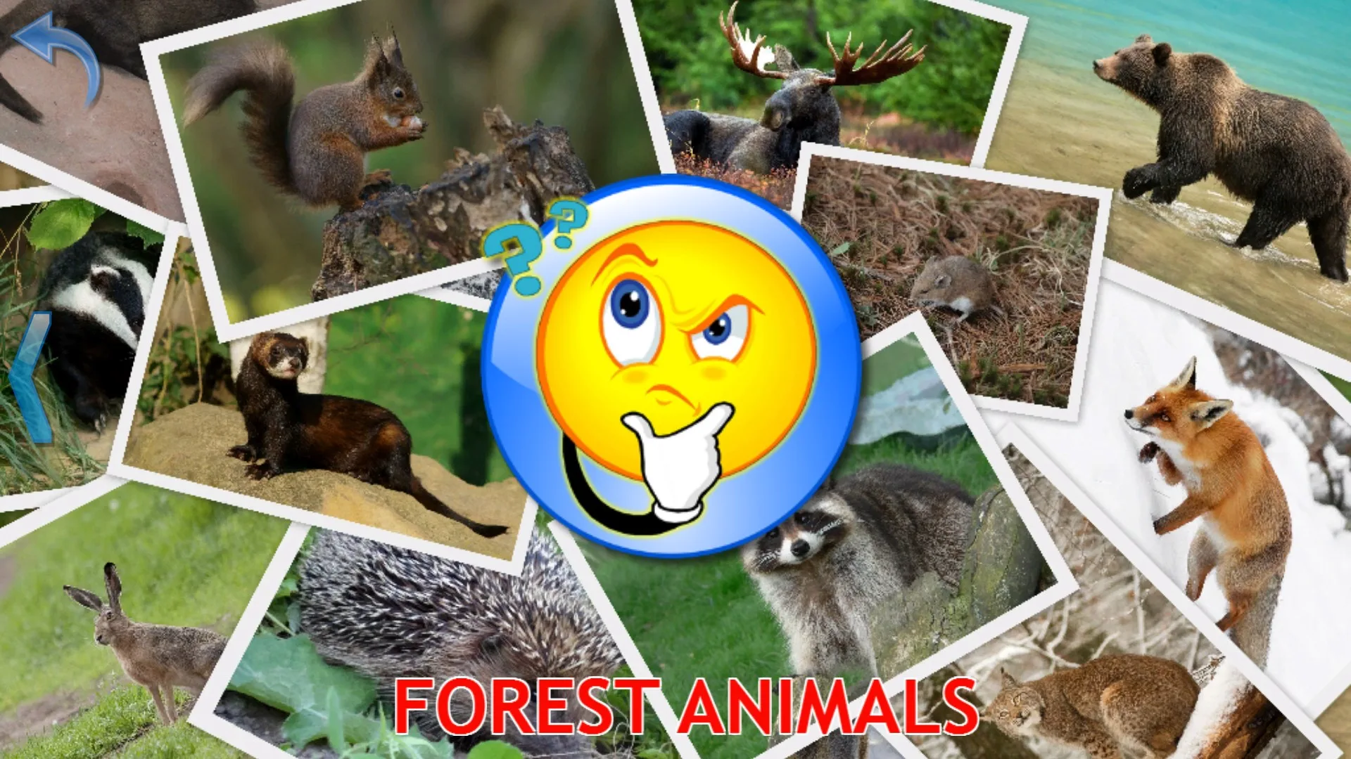 Animals for Kids (Full Game) screenshot 5