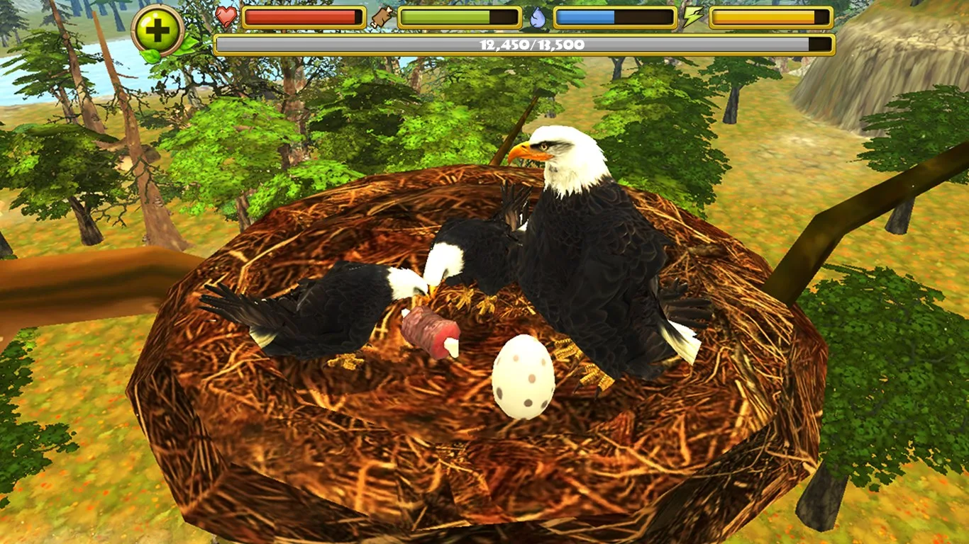 Eagle Simulator screenshot 3