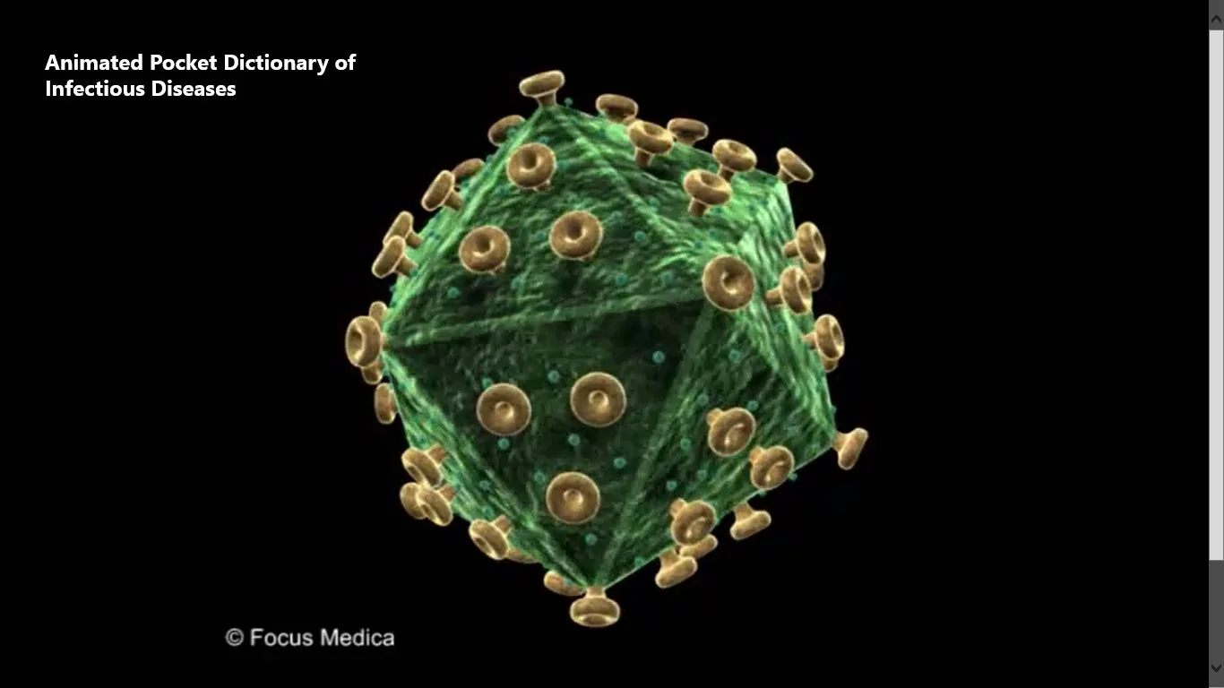 Infectious Diseases-Dictionary screenshot 5