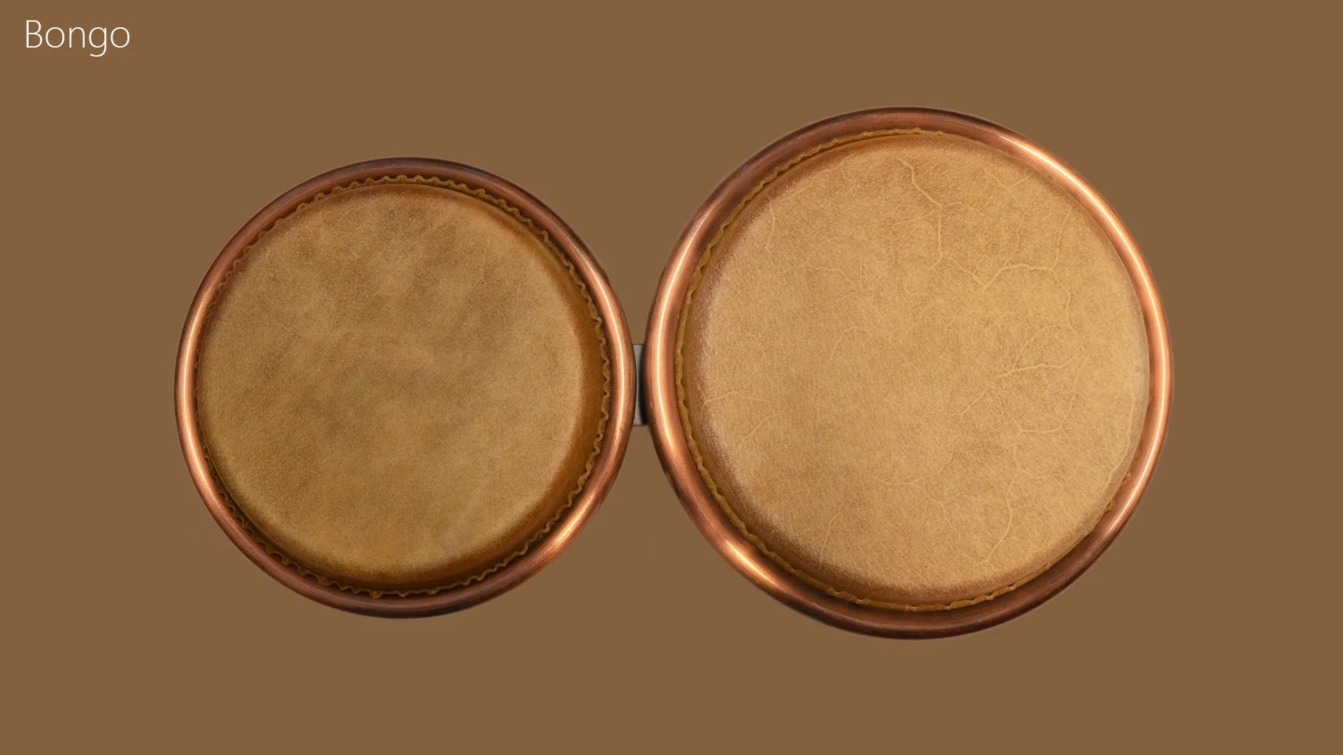 Bongo screenshot 1