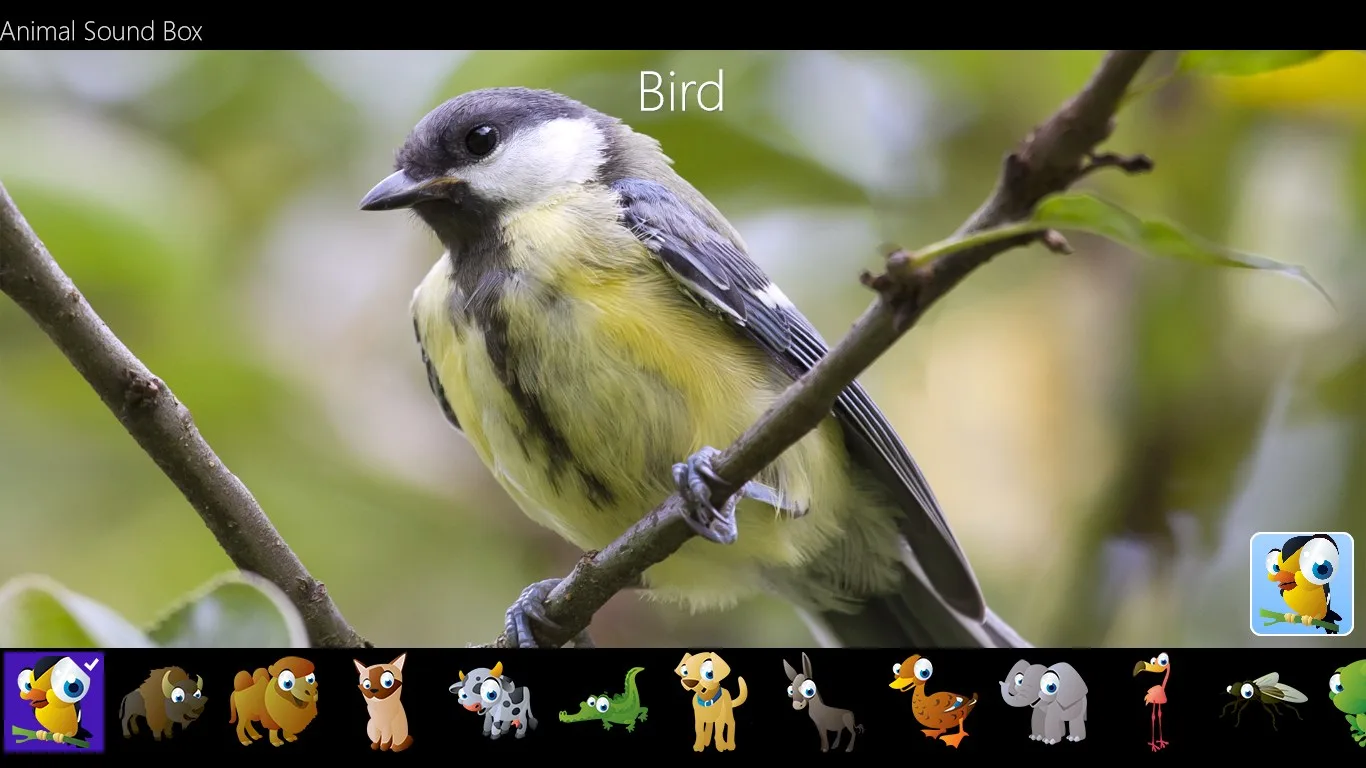Animal Sound Box screenshot 1