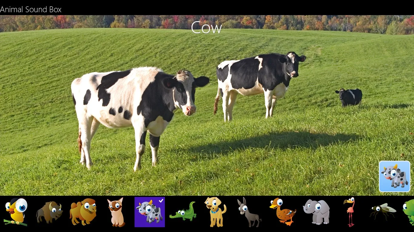 Animal Sound Box screenshot 5
