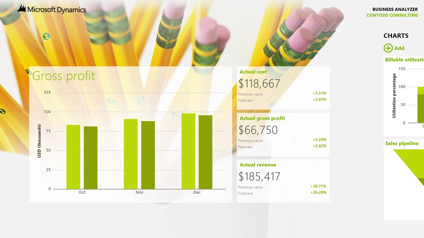 Microsoft Dynamics Business Analyzer screenshot 4