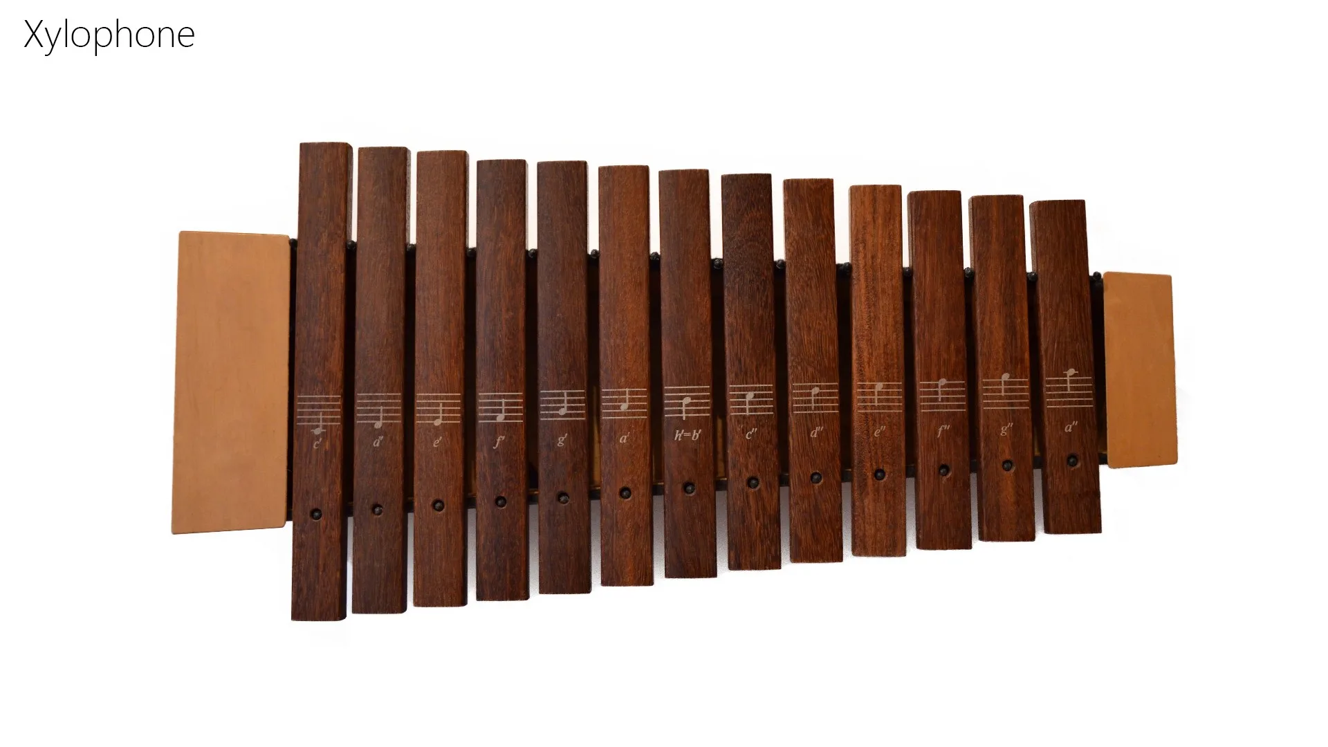Xylophone+ screenshot 1