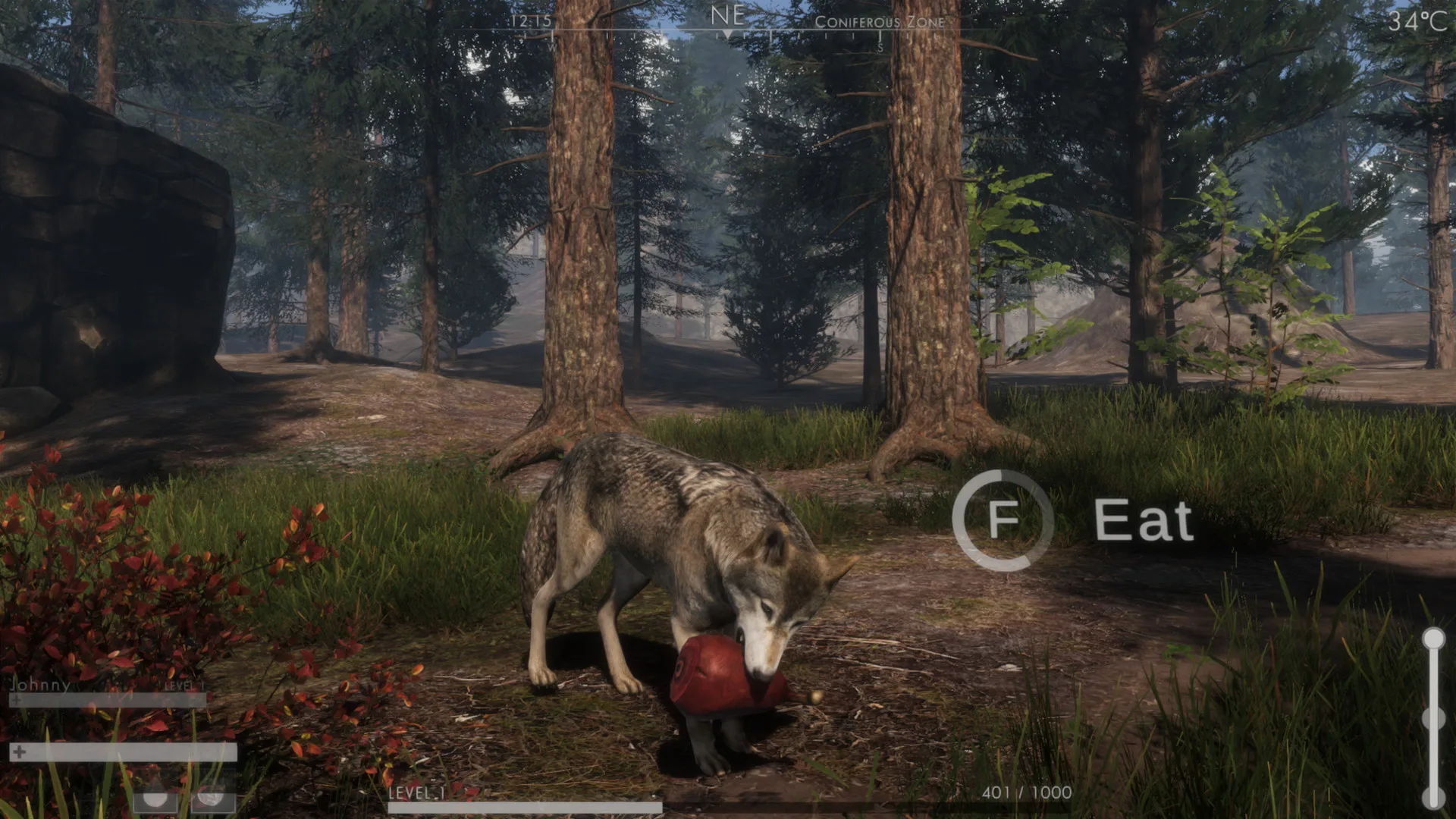 The WILDS screenshot 1