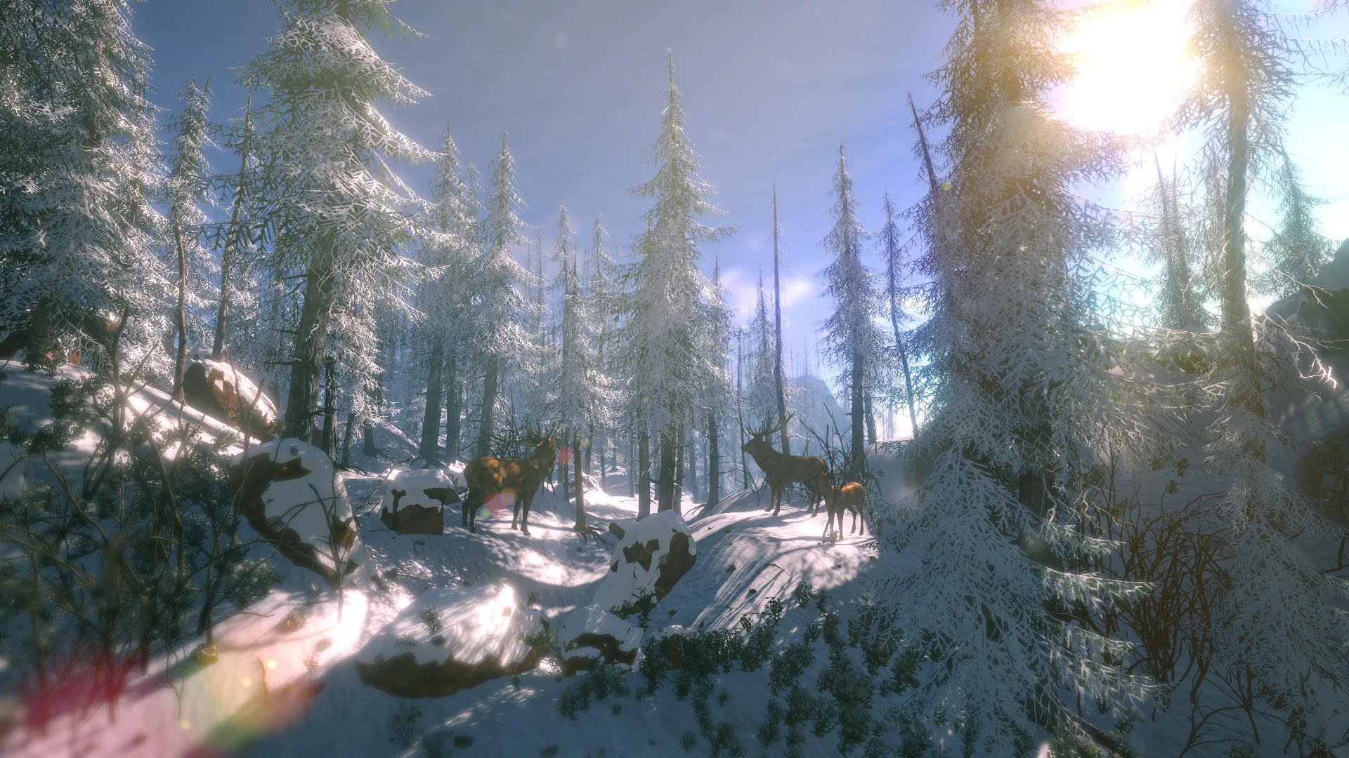 FlowScape screenshot 3